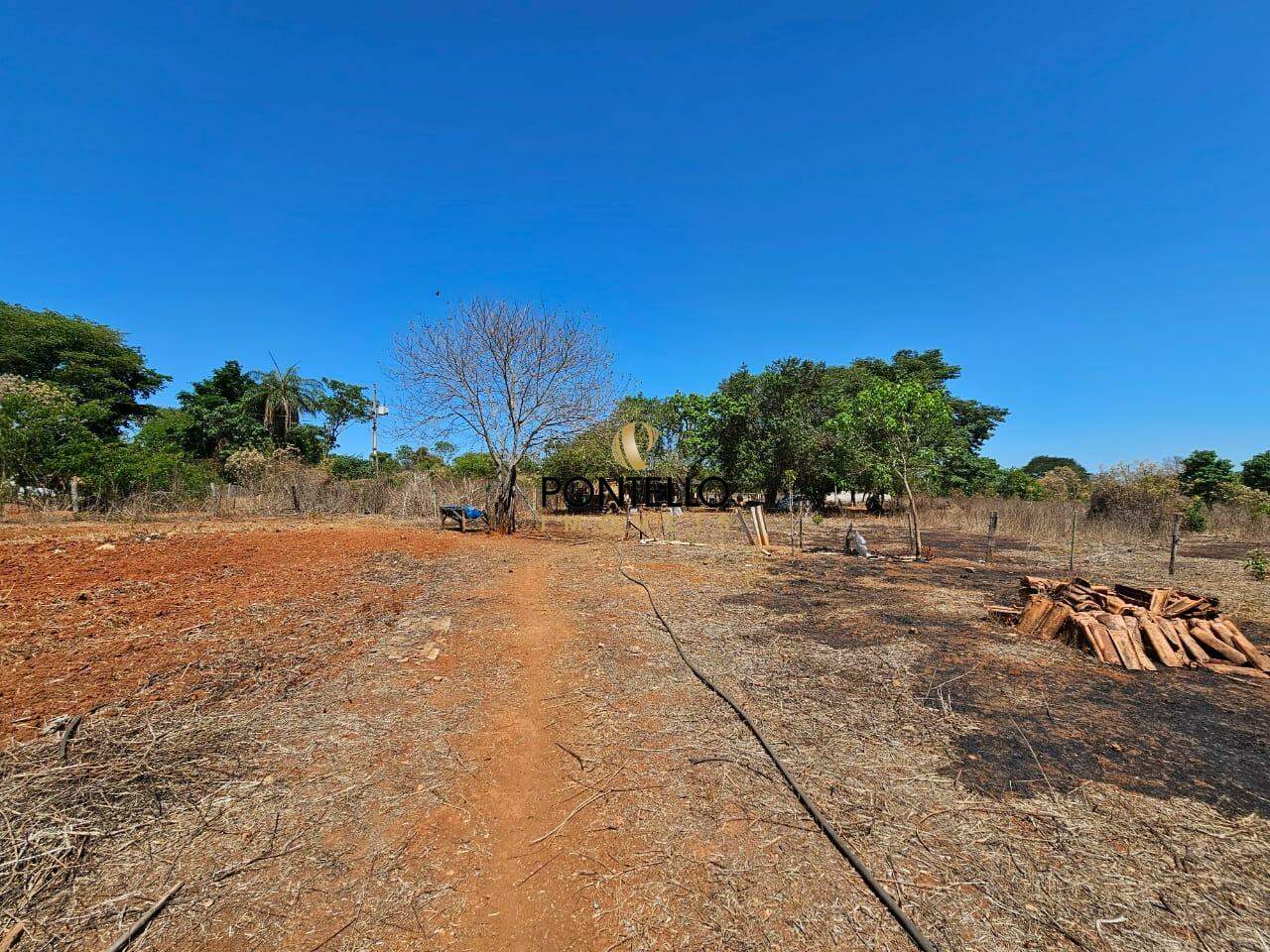 Fazenda-Sítio-Chácara, 15 hectares - Foto 17