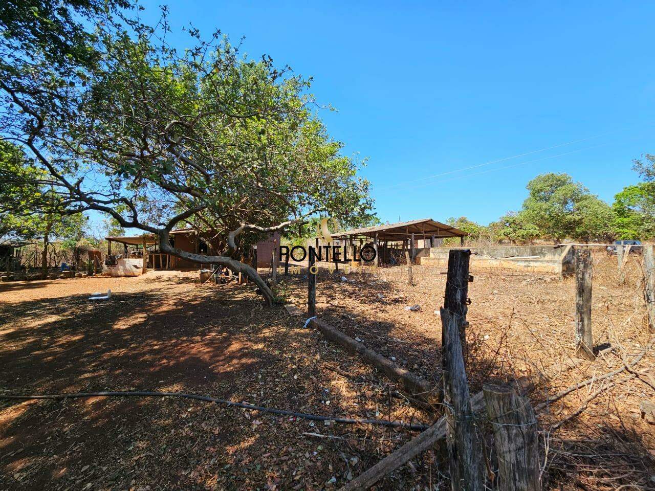 Fazenda-Sítio-Chácara, 15 hectares - Foto 15