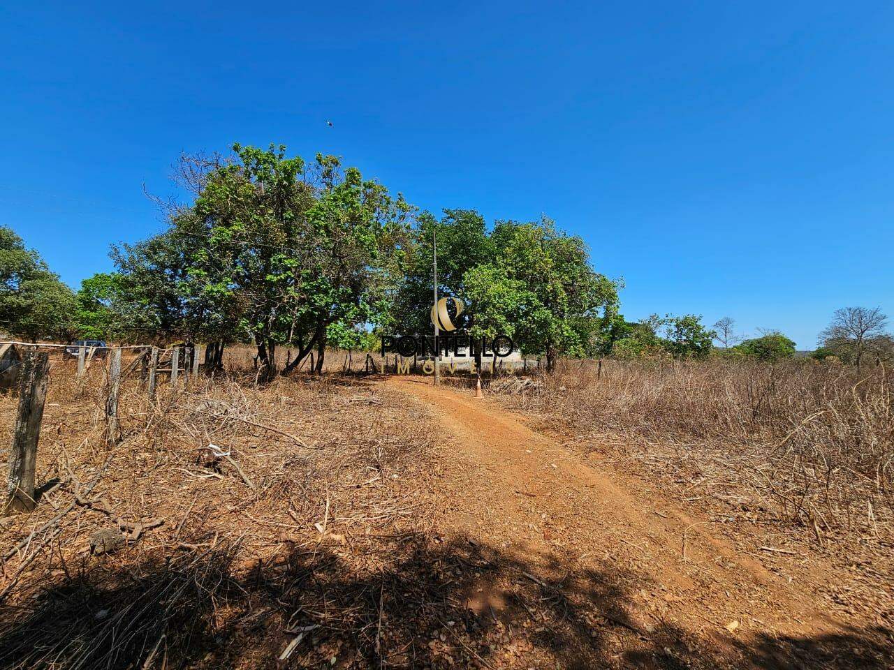 Fazenda-Sítio-Chácara, 15 hectares - Foto 21