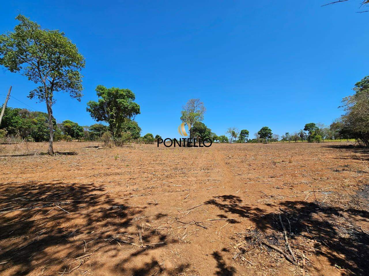 Fazenda-Sítio-Chácara, 15 hectares - Foto 20