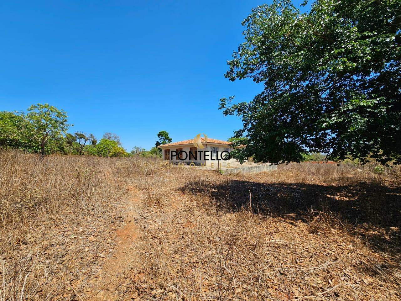 Fazenda-Sítio-Chácara, 15 hectares - Foto 14