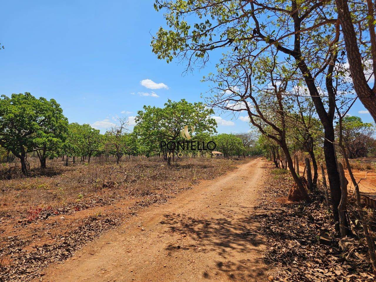 Fazenda-Sítio-Chácara, 15 hectares - Foto 11
