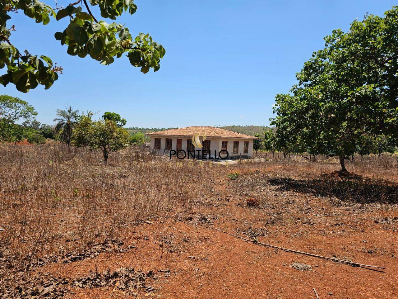 Fazenda-Sítio-Chácara, 15 hectares - Foto 2