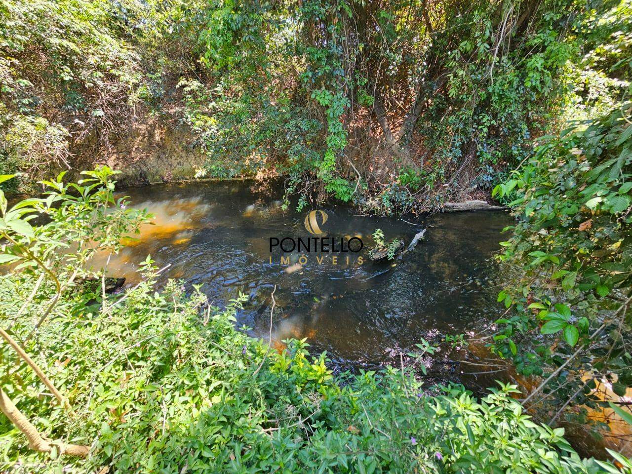 Fazenda-Sítio-Chácara, 15 hectares - Foto 23