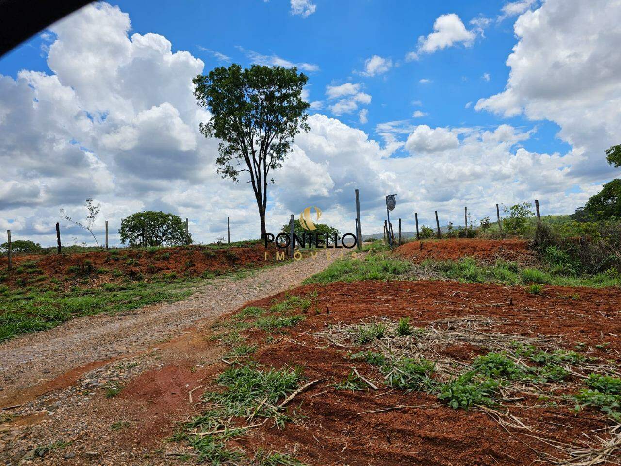 Fazenda, 130 hectares - Foto 2