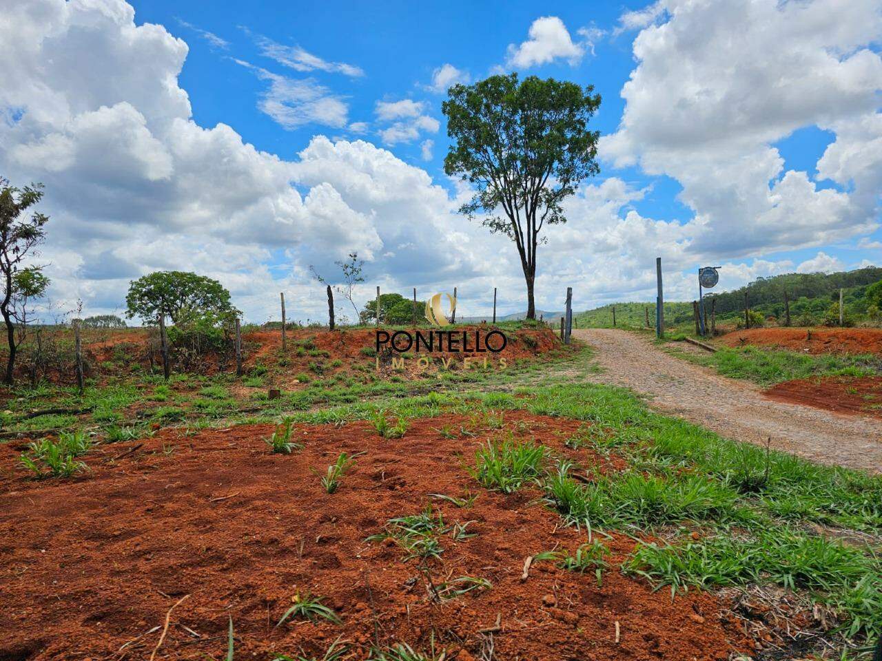 Fazenda, 130 hectares - Foto 3