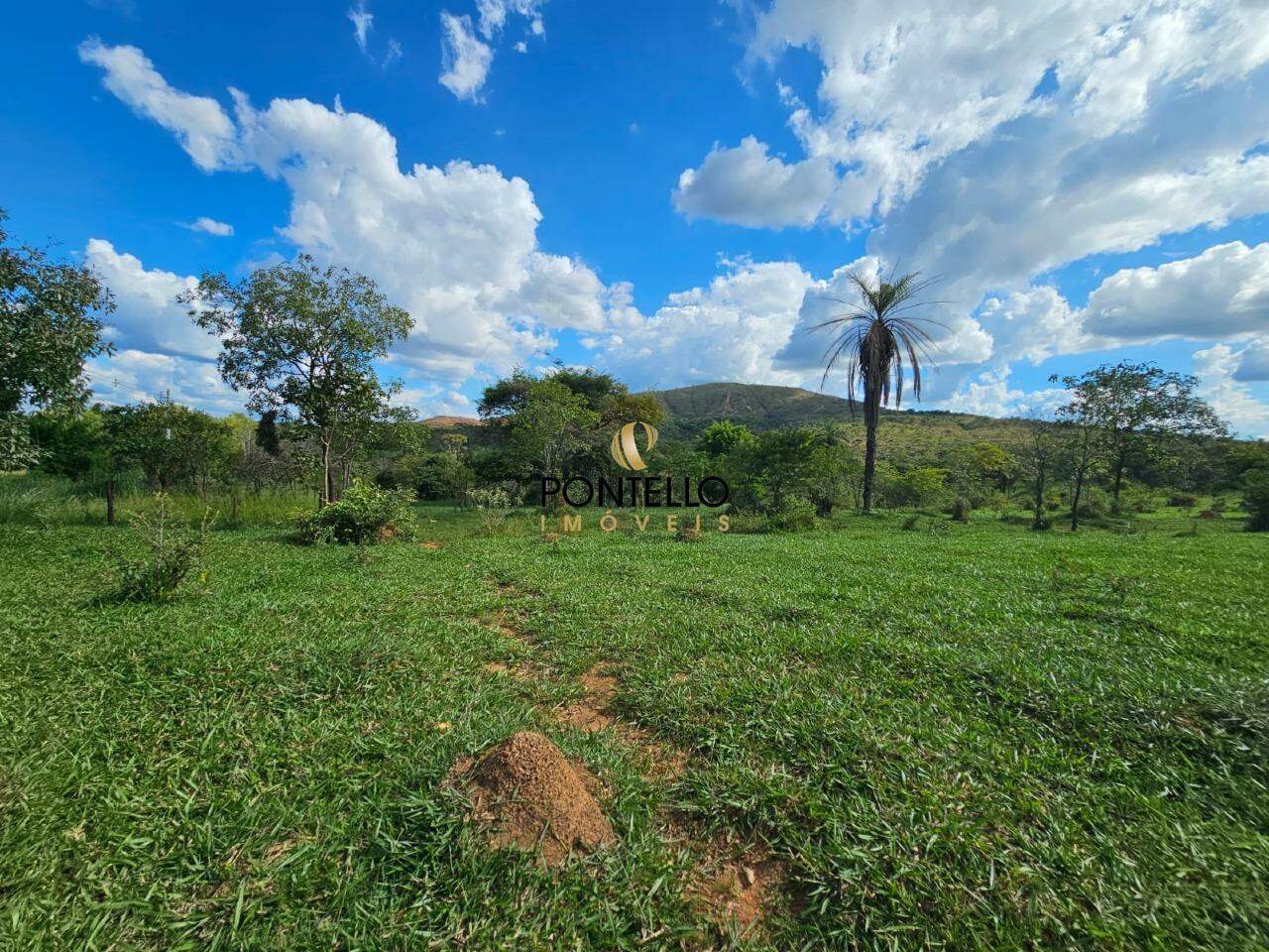 Fazenda, 130 hectares - Foto 4