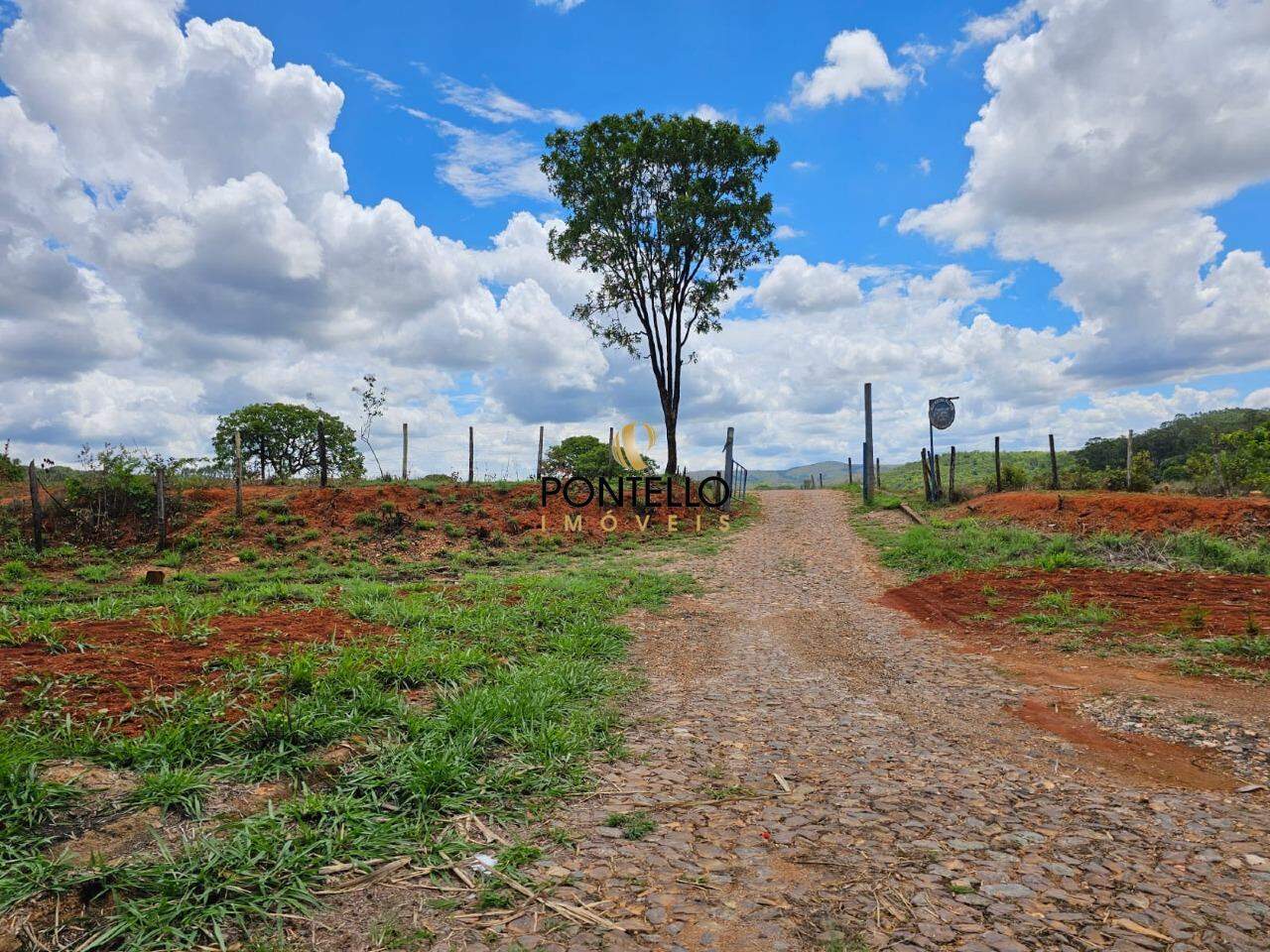 Fazenda, 130 hectares - Foto 1