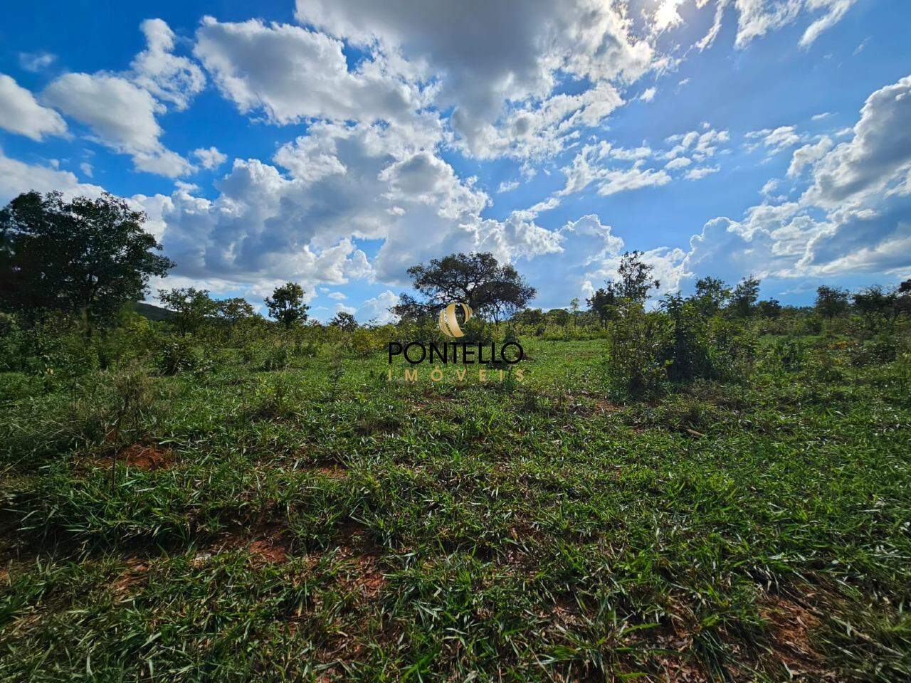 Fazenda, 130 hectares - Foto 5