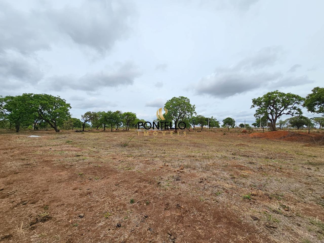 Terreno, 15 hectares - Foto 12