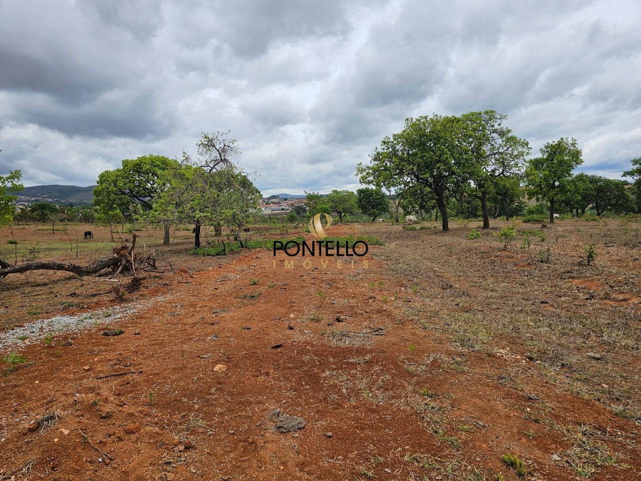 Terreno, 15 hectares - Foto 4