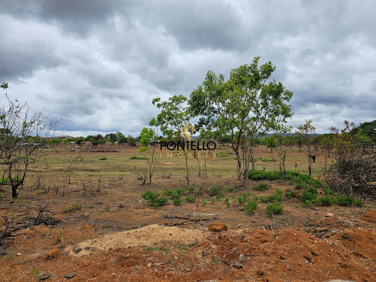 Terreno, 15 hectares - Foto 3