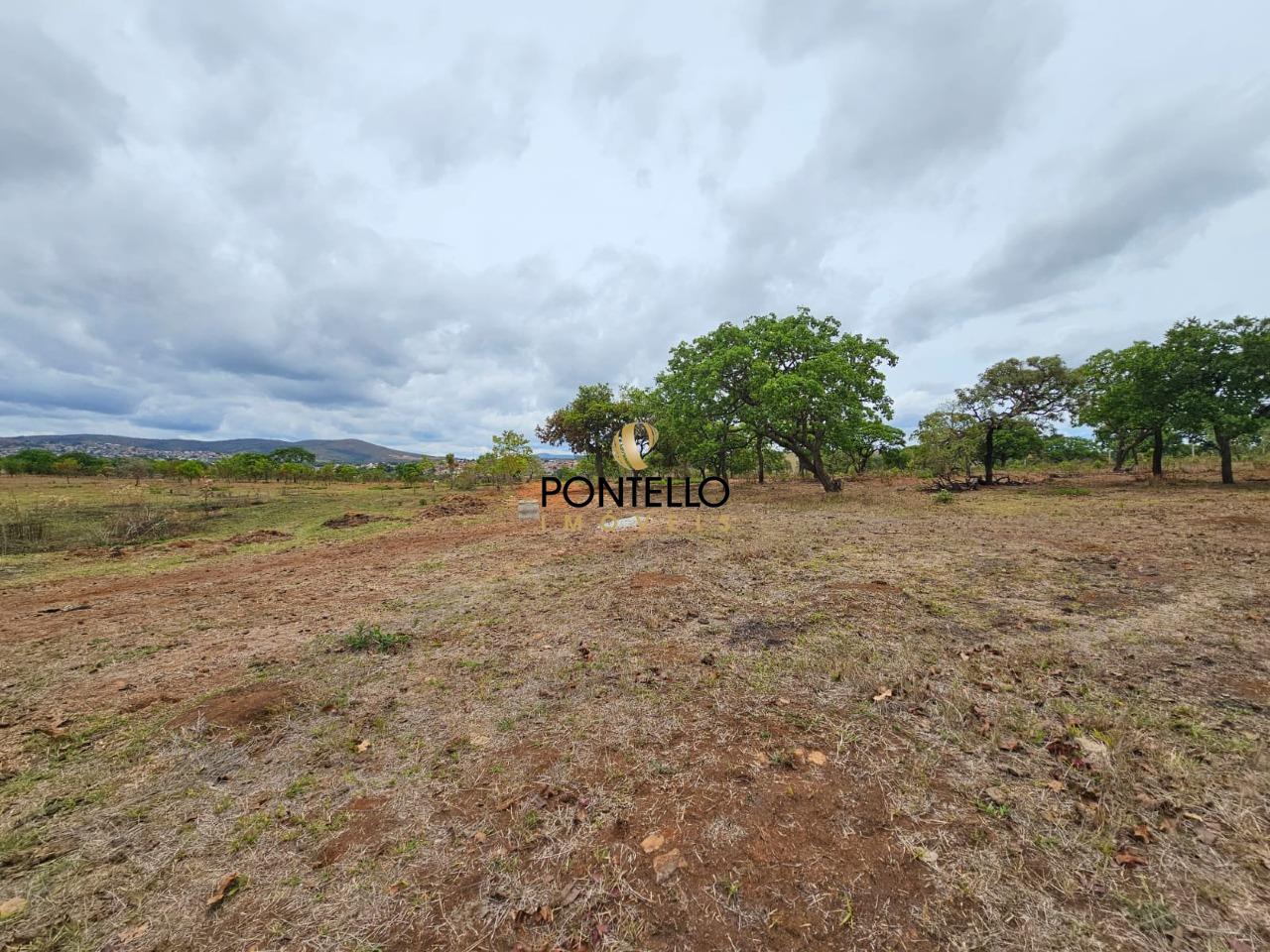 Terreno, 15 hectares - Foto 7