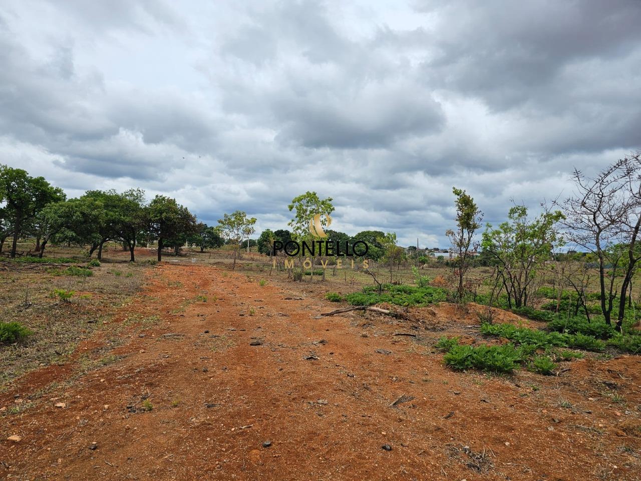 Terreno, 15 hectares - Foto 8