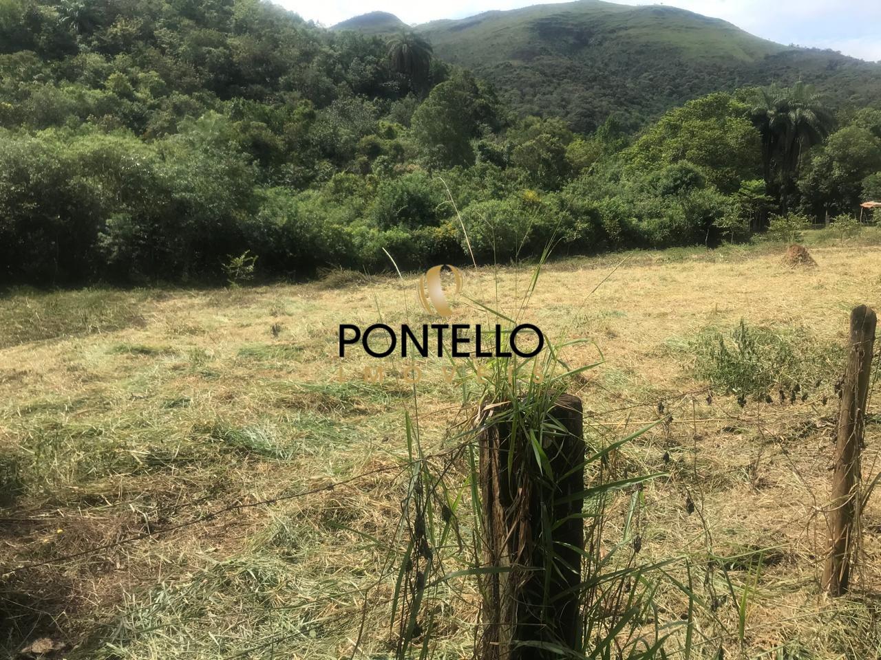 Terreno, 25 hectares - Foto 2