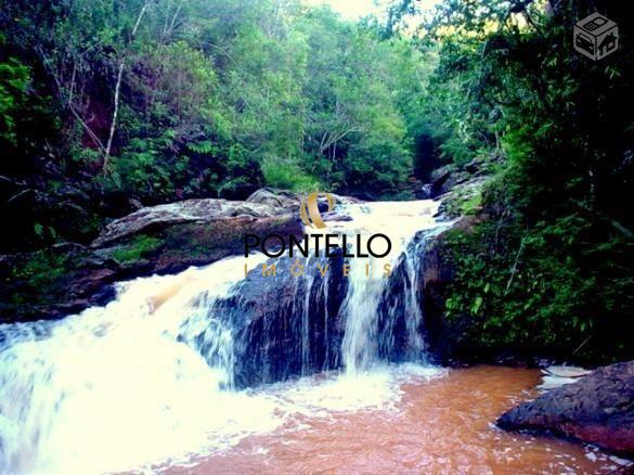 Terreno, 25 hectares - Foto 1