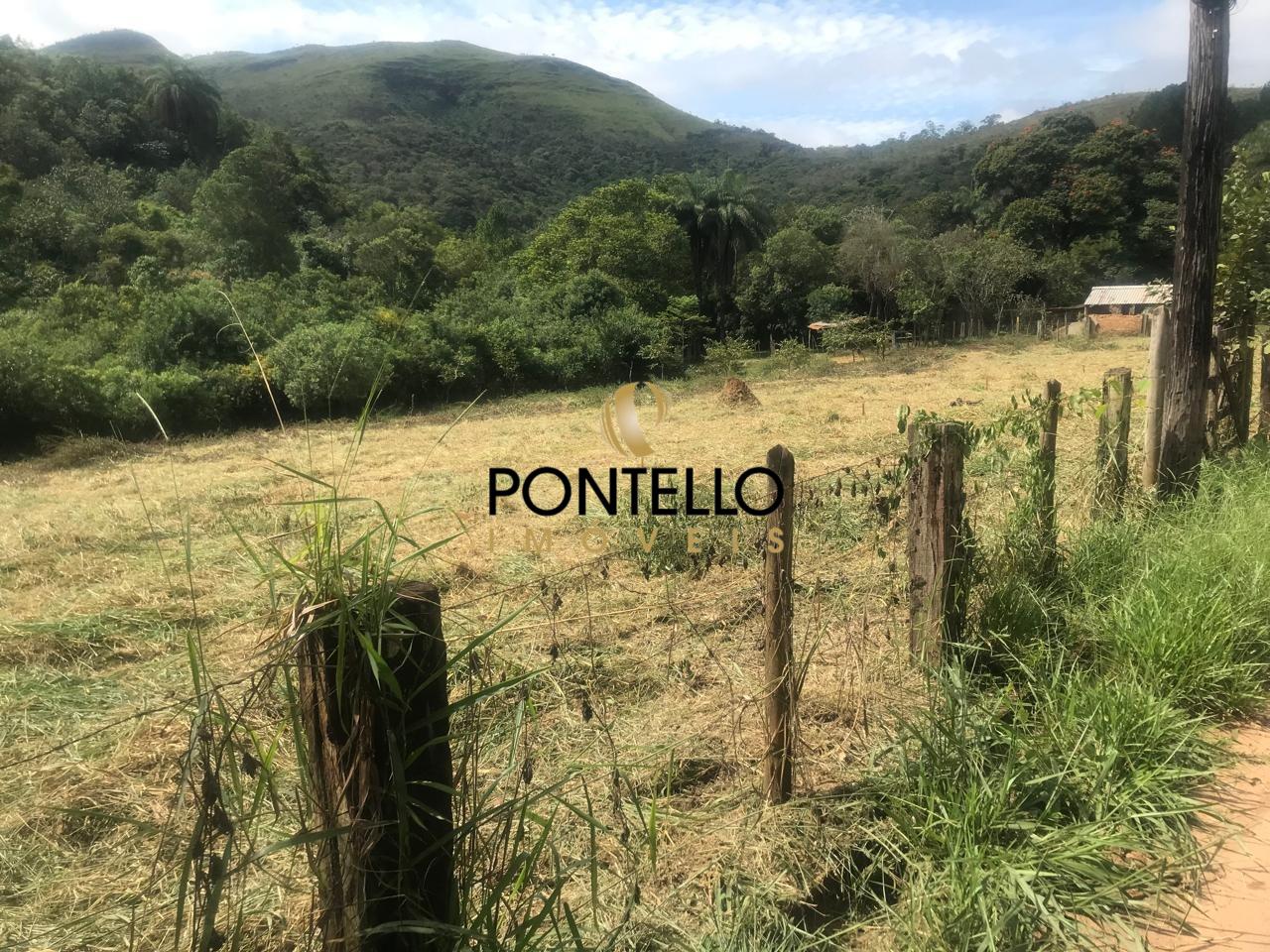 Terreno, 25 hectares - Foto 3