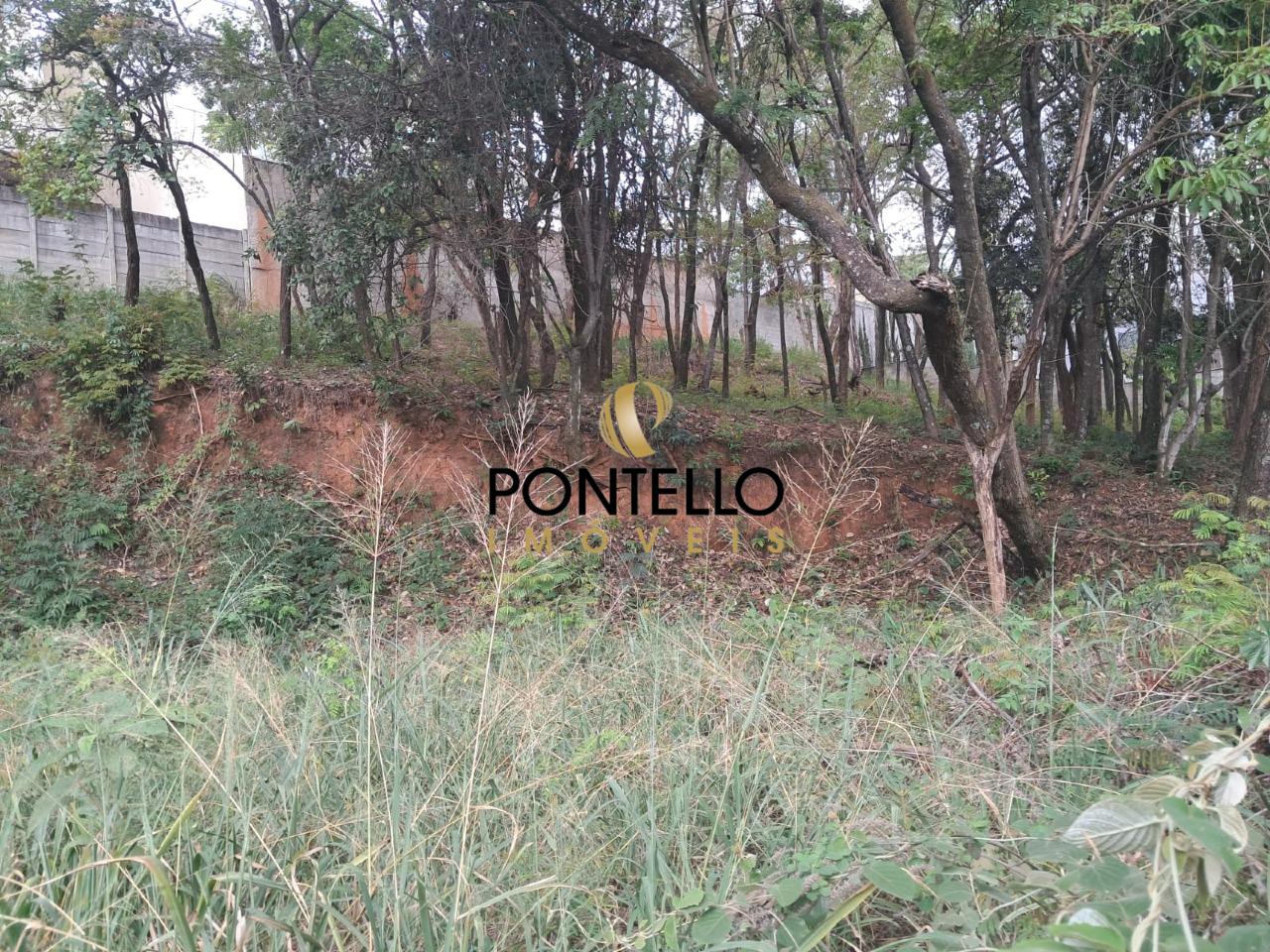 Terreno, 1736 m² - Foto 5