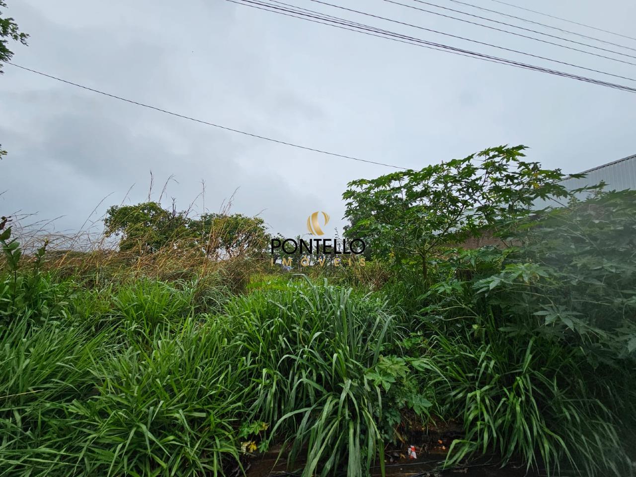 Terreno, 3702 m² - Foto 8