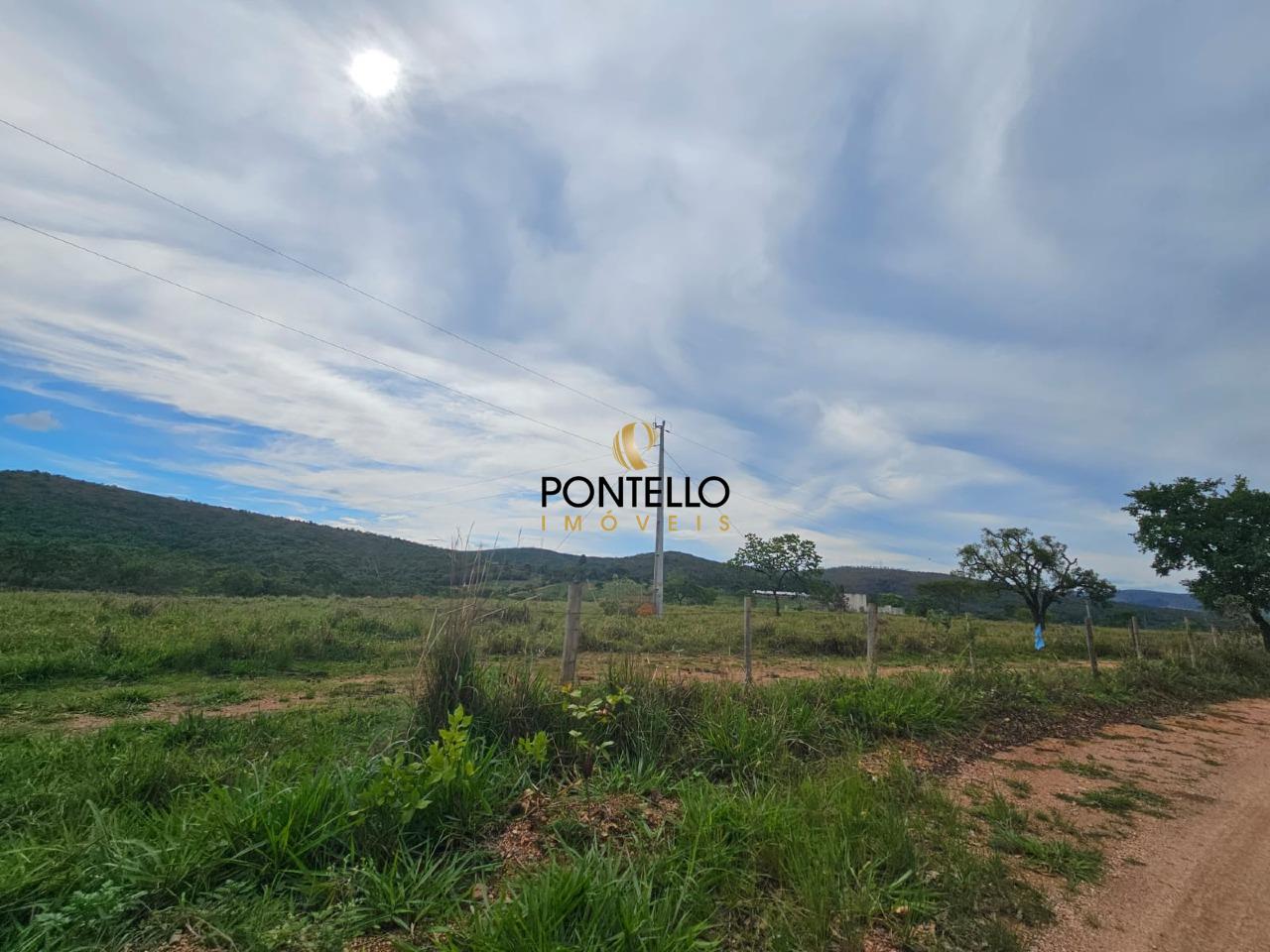 Fazenda, 65 hectares - Foto 9