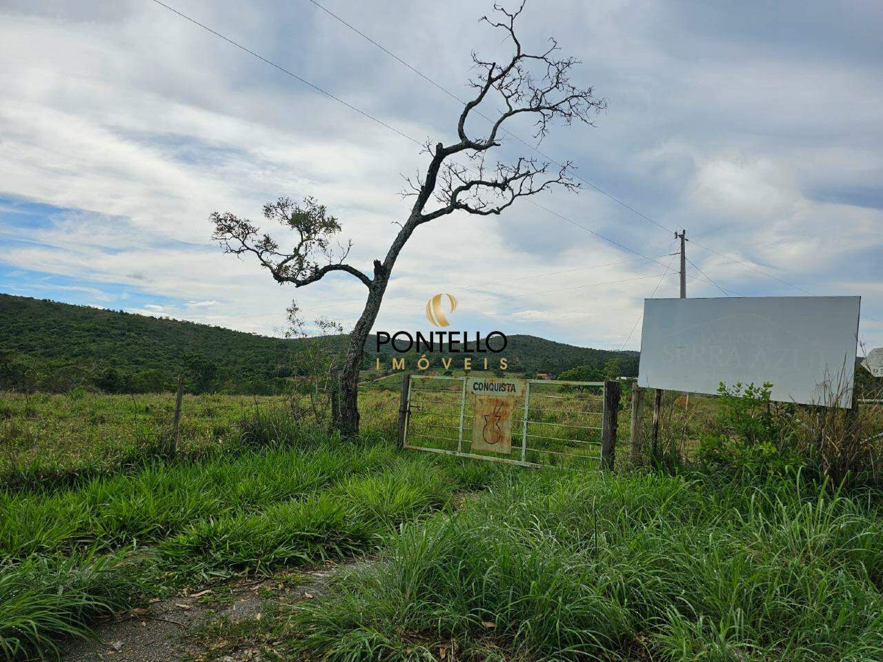 Fazenda, 65 hectares - Foto 1