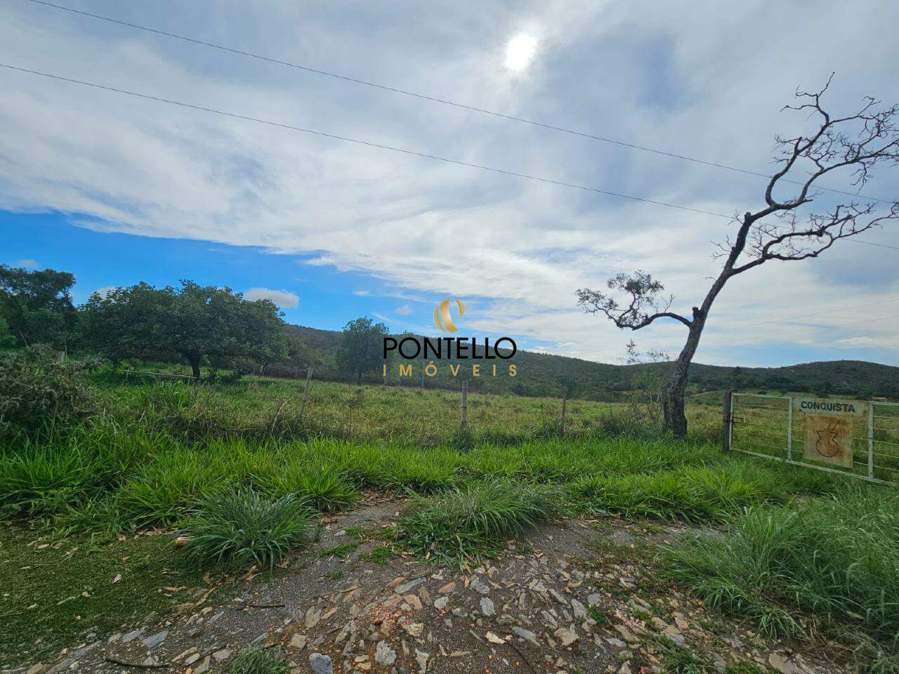 Fazenda, 65 hectares - Foto 3