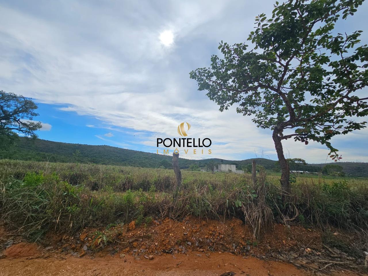 Fazenda, 65 hectares - Foto 6