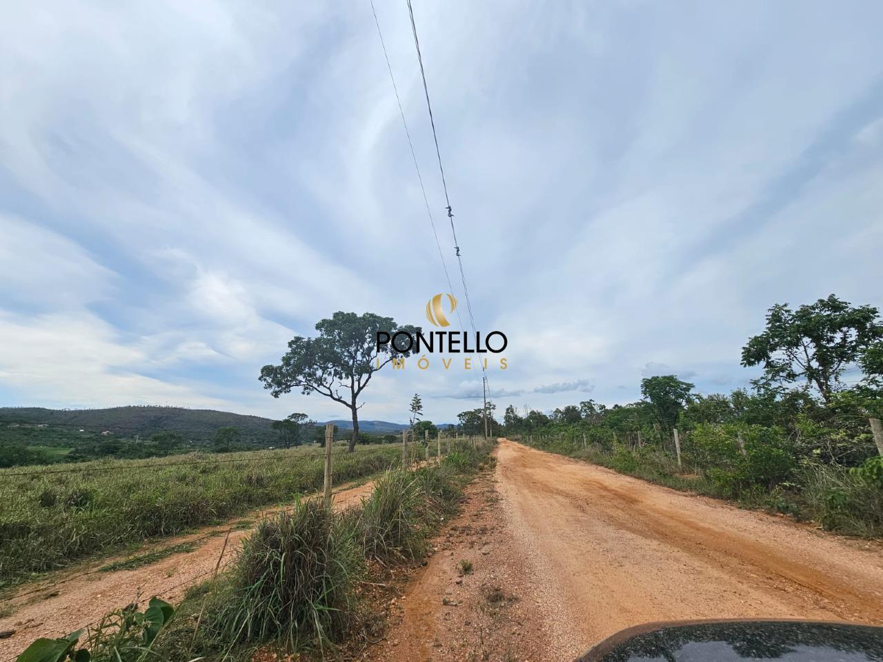 Fazenda, 65 hectares - Foto 10