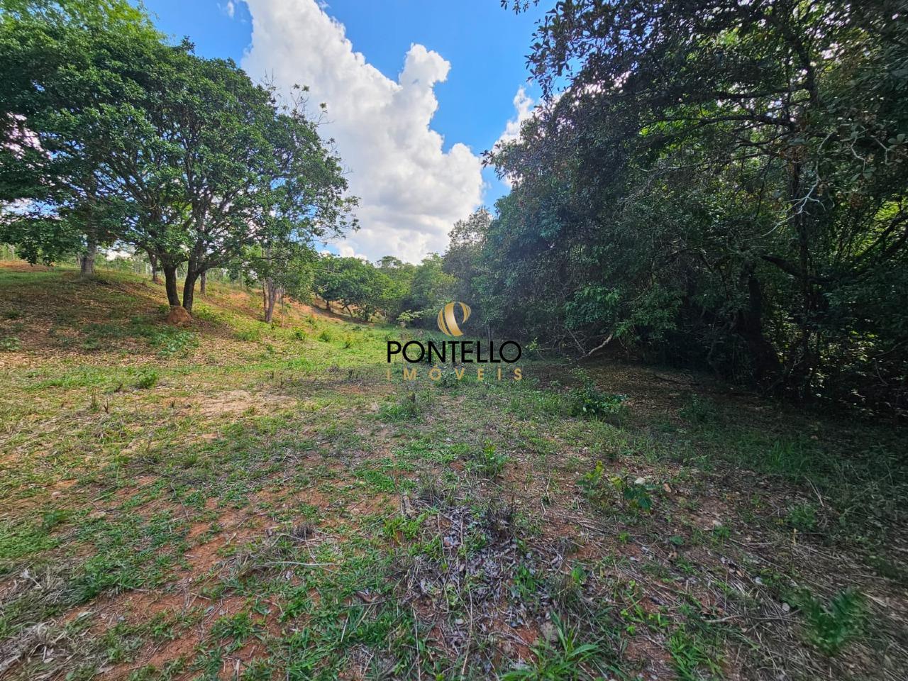 Terreno, 4 hectares - Foto 7