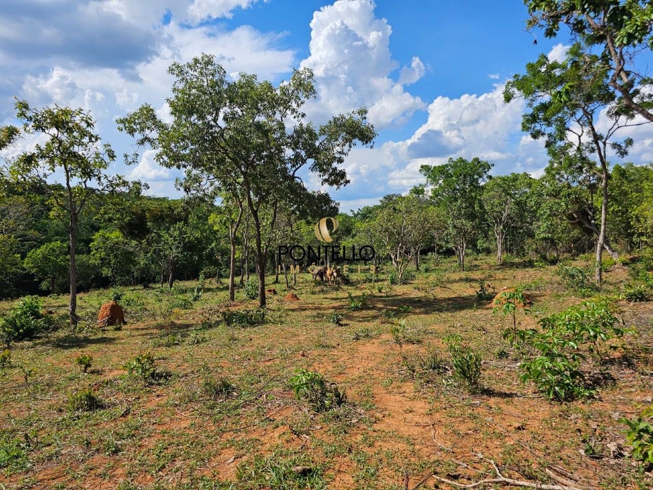 Terreno, 4 hectares - Foto 13