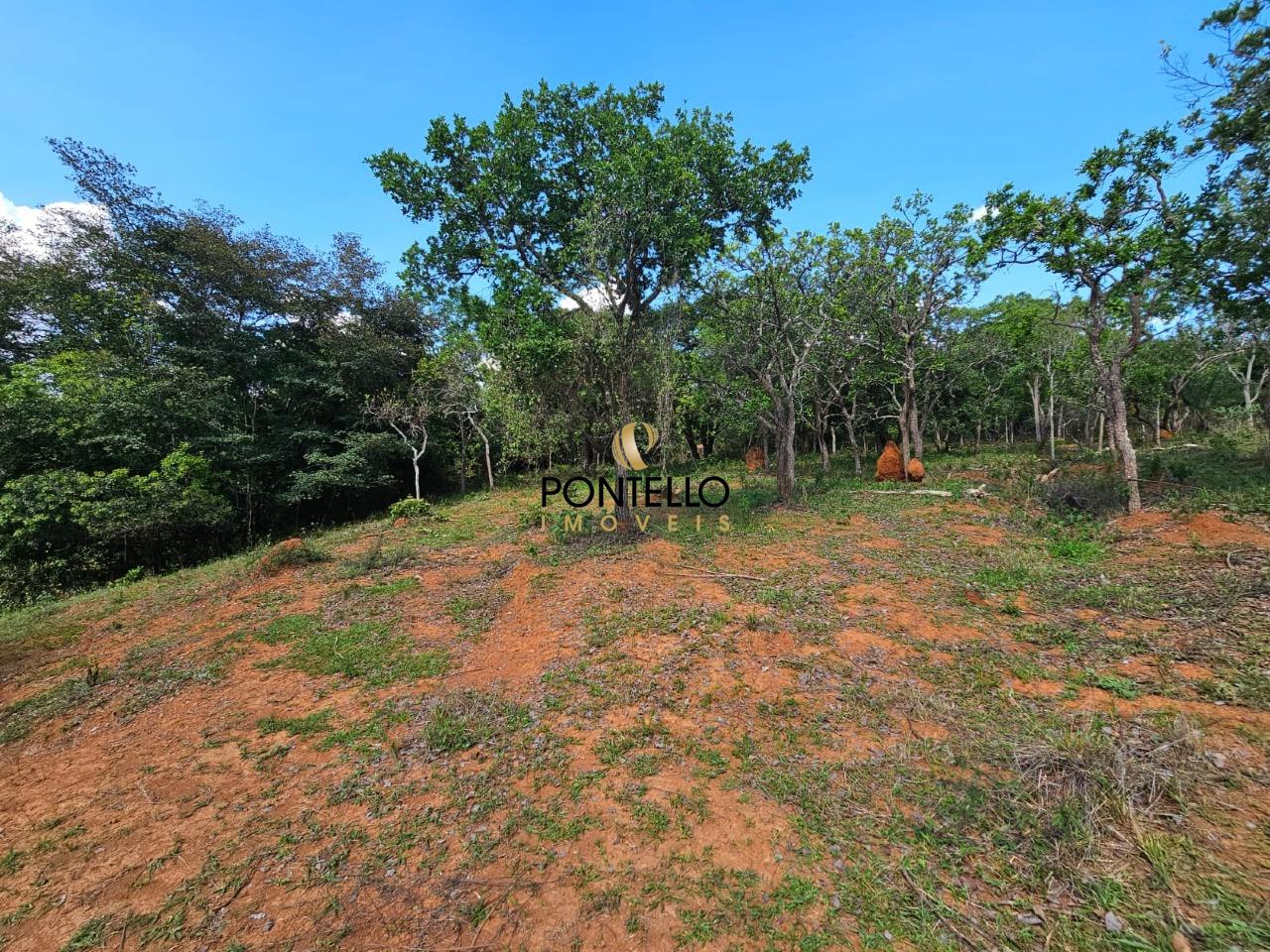 Terreno, 4 hectares - Foto 4