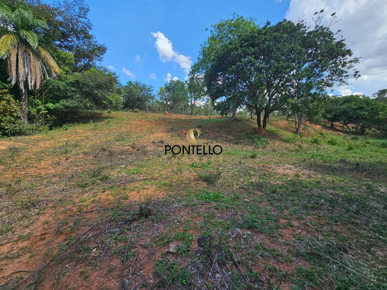 Terreno, 4 hectares - Foto 6