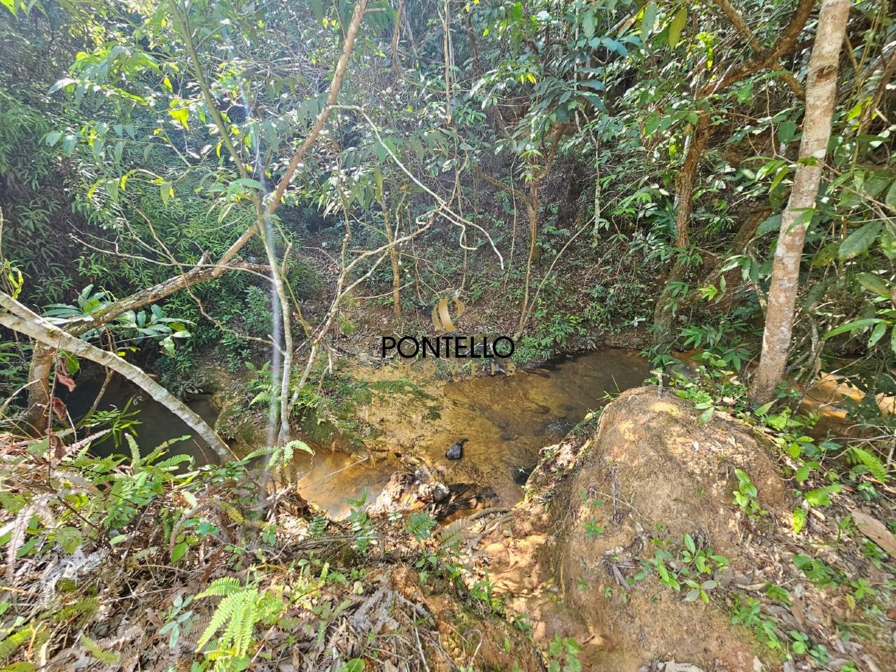 Terreno, 4 hectares - Foto 15