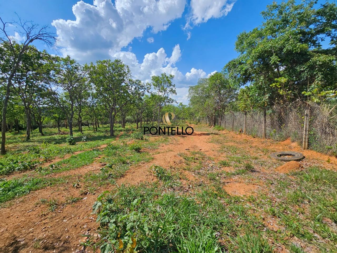 Terreno, 4 hectares - Foto 2