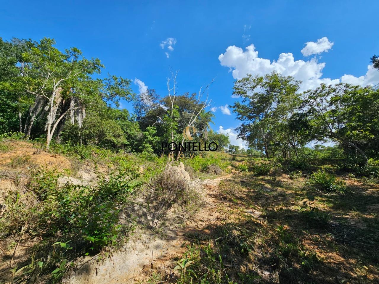 Terreno, 4 hectares - Foto 14