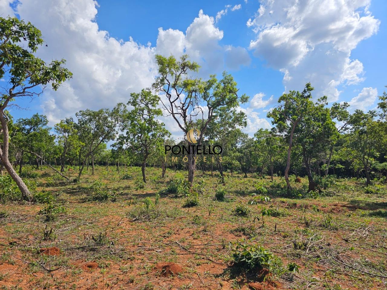 Terreno, 4 hectares - Foto 9