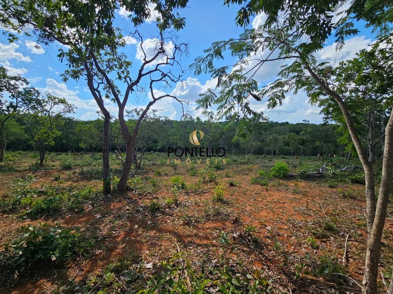 Terreno, 4 hectares - Foto 5