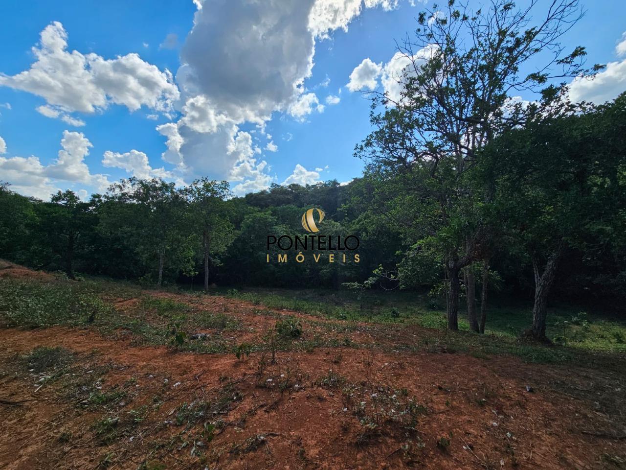 Terreno, 4 hectares - Foto 8