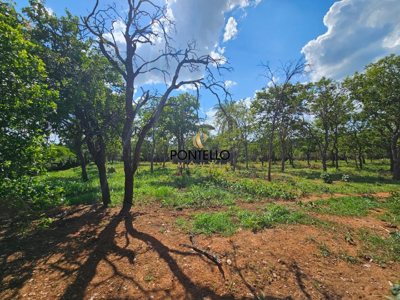 Terreno, 4 hectares - Foto 11