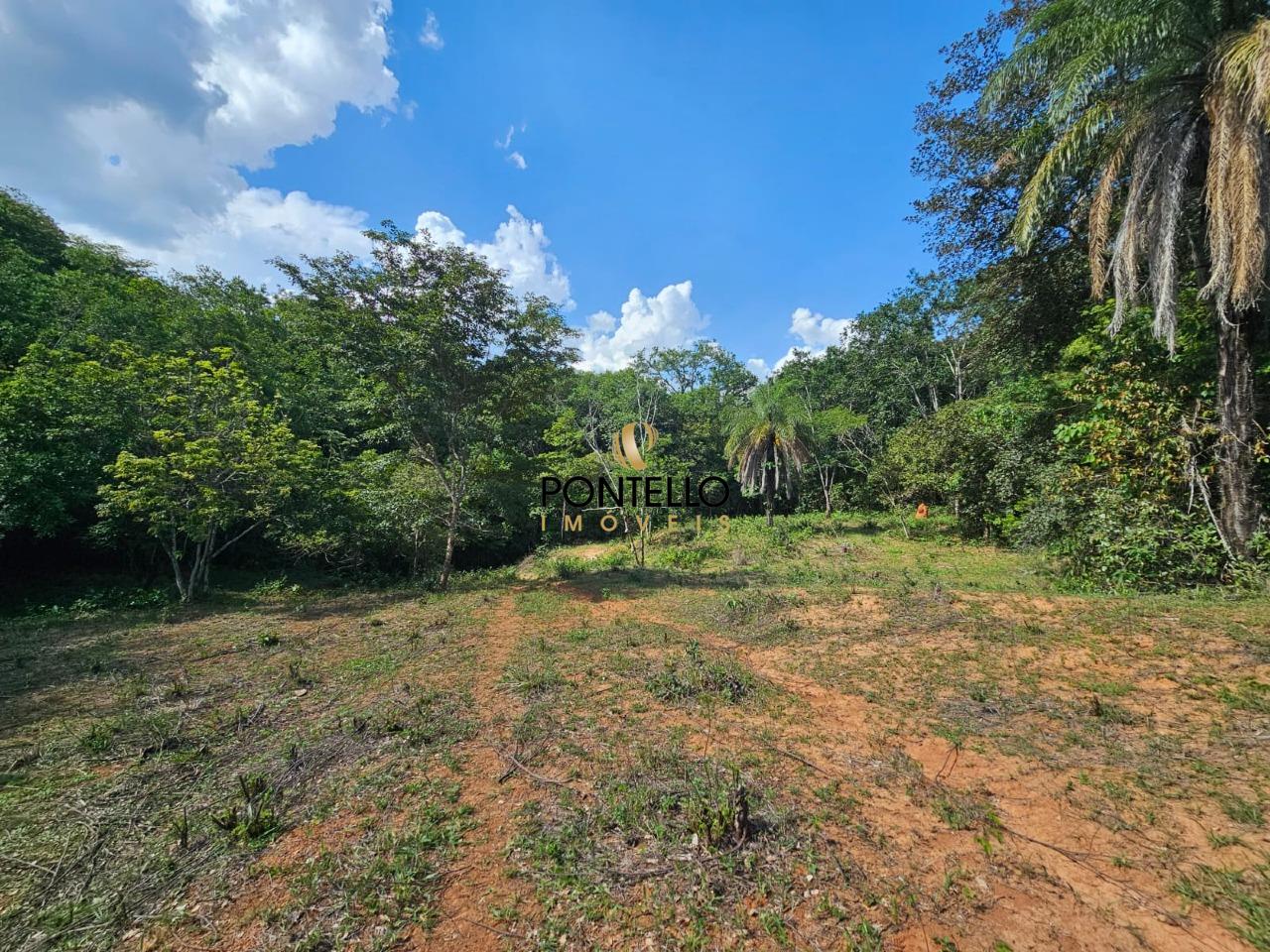 Terreno, 4 hectares - Foto 3