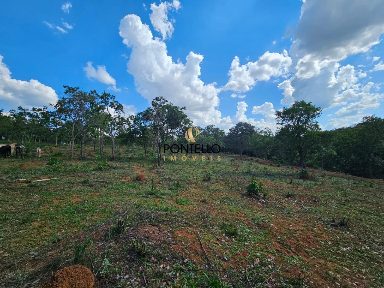 Terreno, 4 hectares - Foto 10