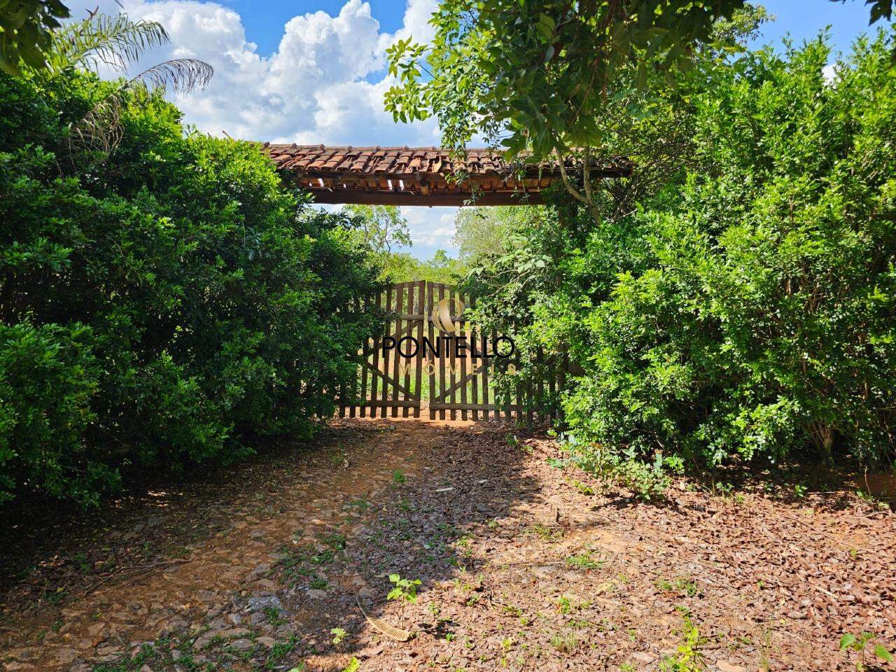 Terreno, 4 hectares - Foto 1