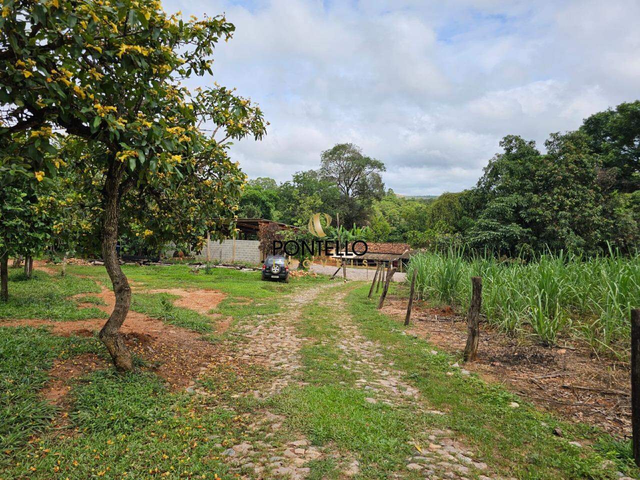 Chácara, 3 quartos, 11 hectares - Foto 21