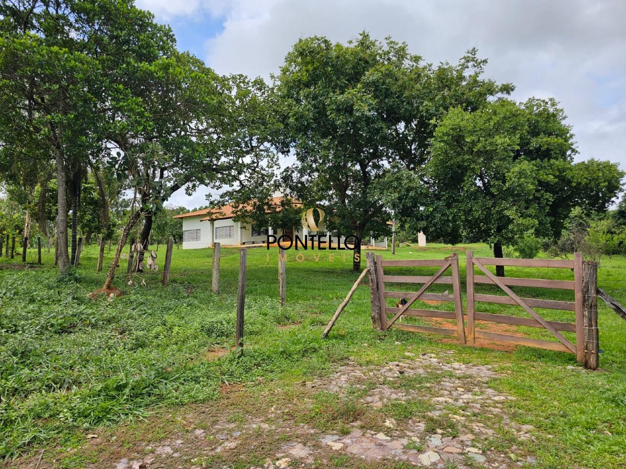 Chácara, 3 quartos, 11 hectares - Foto 3