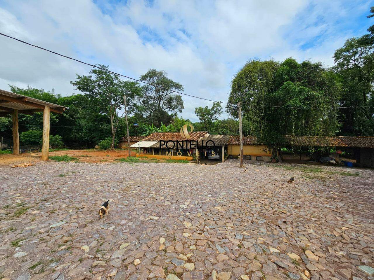 Chácara, 3 quartos, 11 hectares - Foto 22