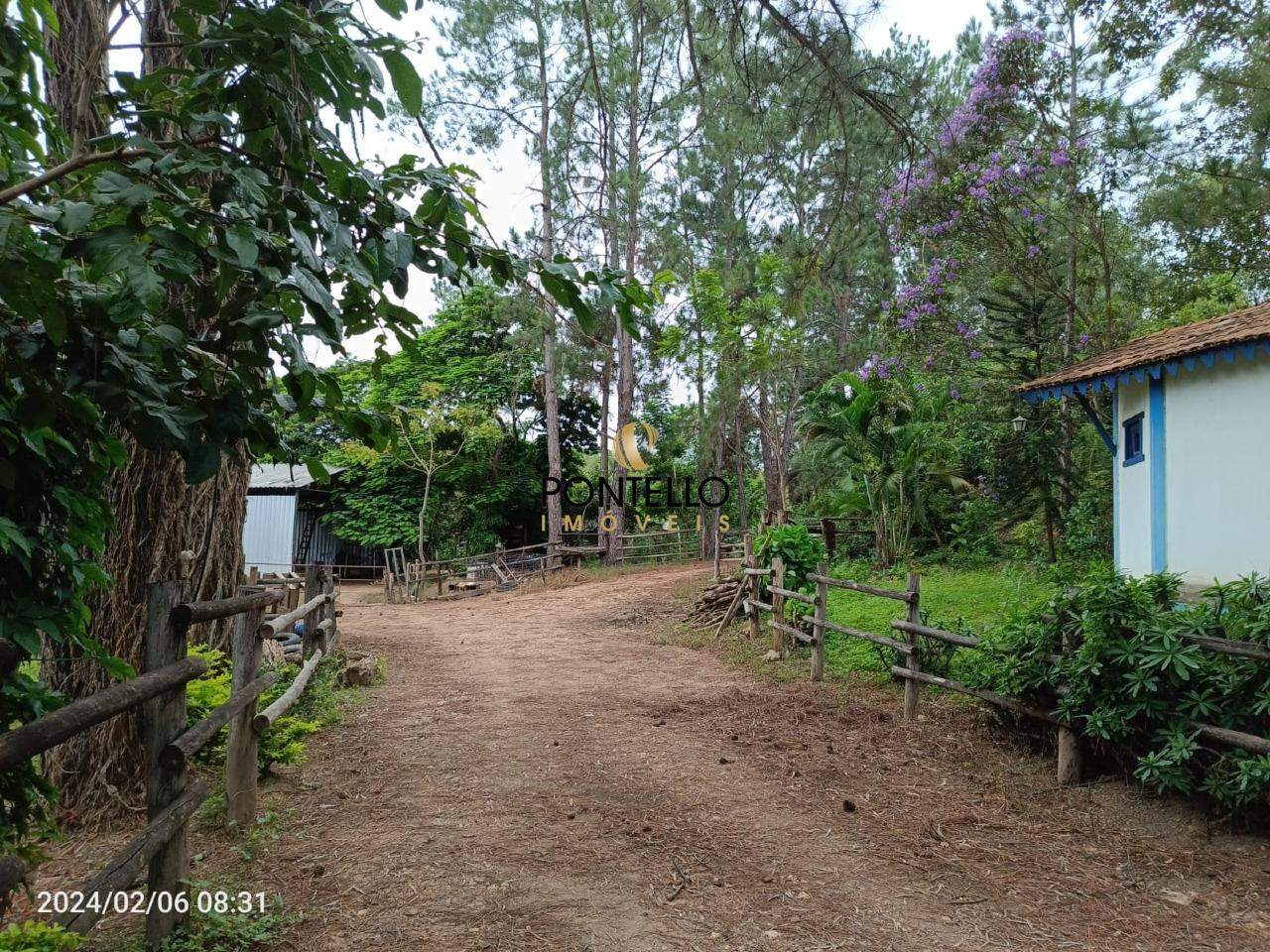 Chácara, 3 quartos, 204 hectares - Foto 11