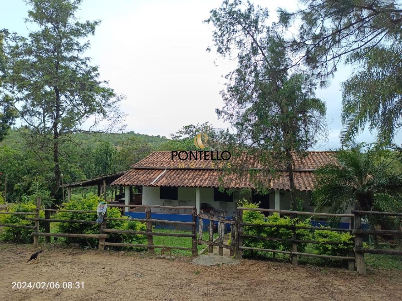 Fazenda, 204 hectares - Foto 4