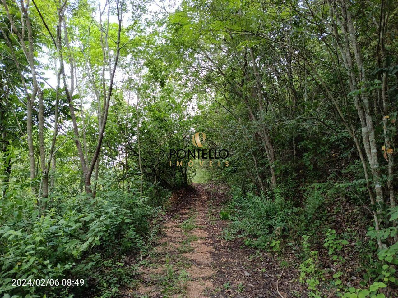 Chácara, 3 quartos, 204 hectares - Foto 23