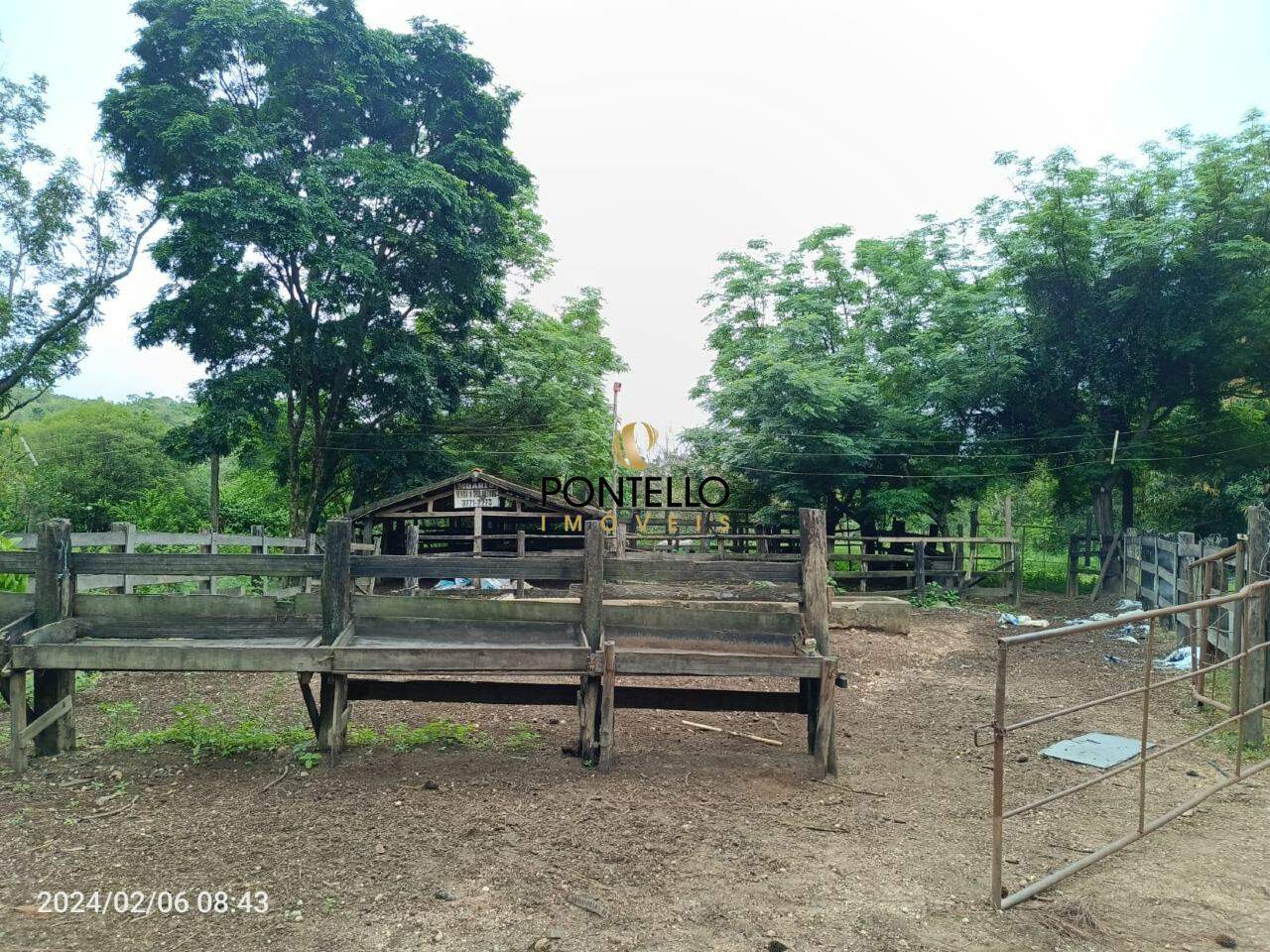 Chácara, 3 quartos, 204 hectares - Foto 24