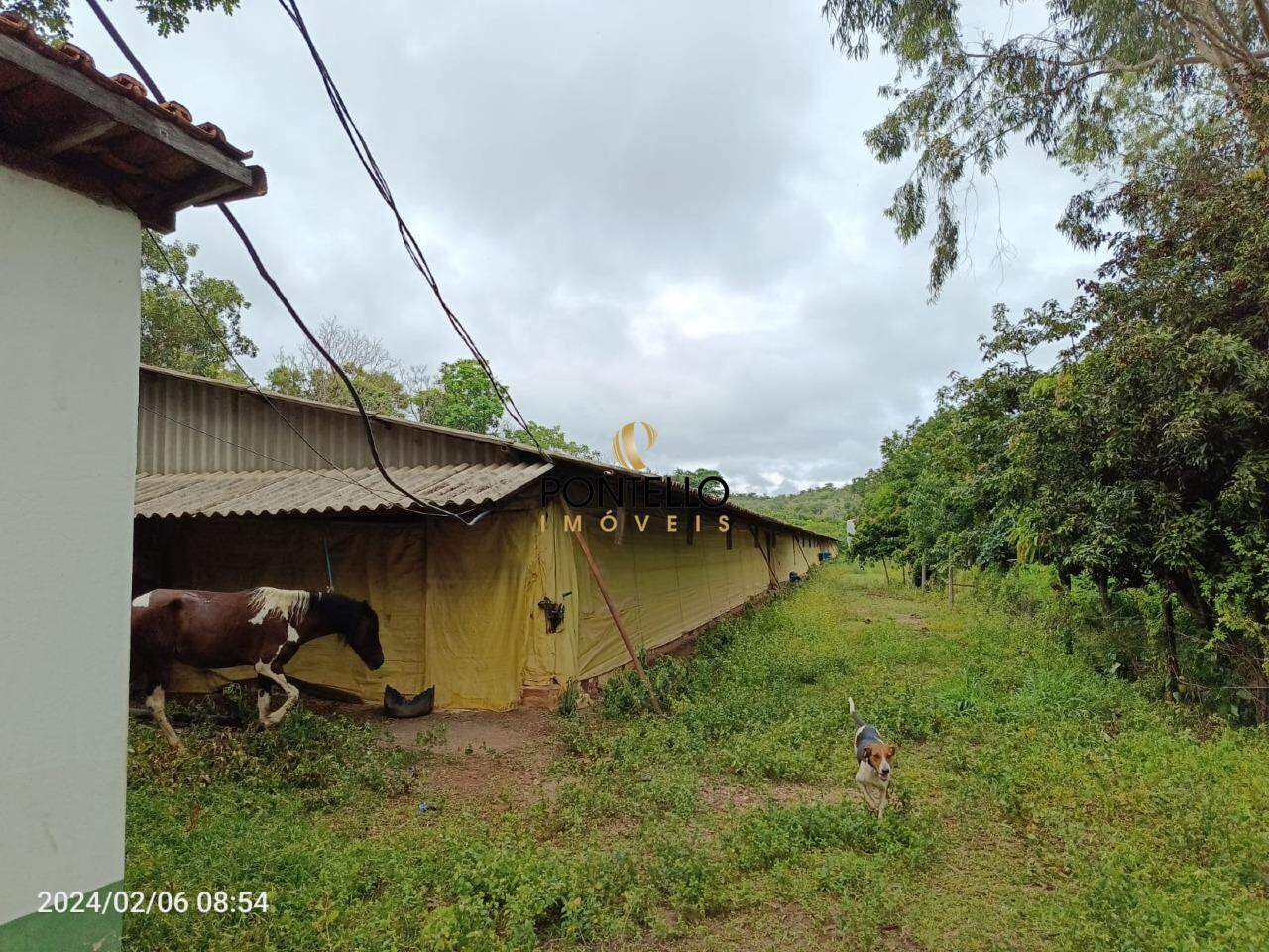 Chácara, 3 quartos, 204 hectares - Foto 25